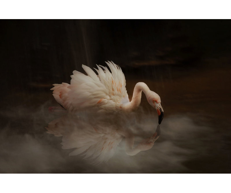 Wrapped Canvas Print, 50.8 cm H x 76.2 cm W