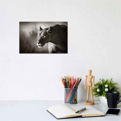 " Lioness Stalking " by Johan Swanepoel