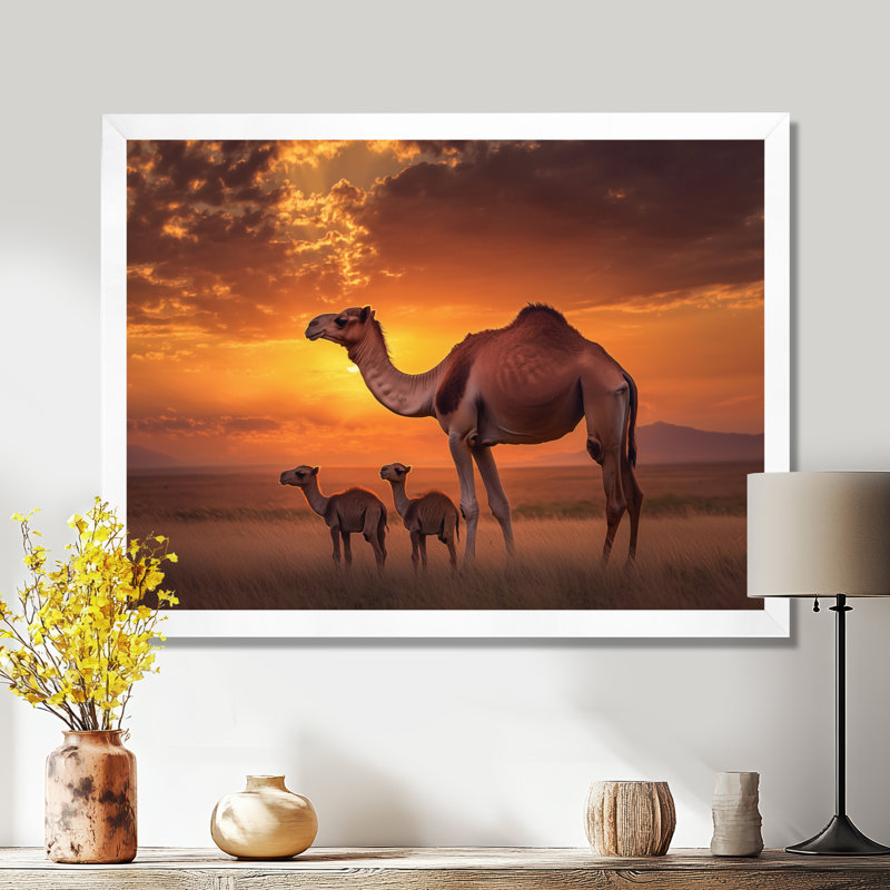 Afrique, paysage de chameaux au coucher du soleil - art mural imprimé chameau, H 12 po x l 20 po, Blanc