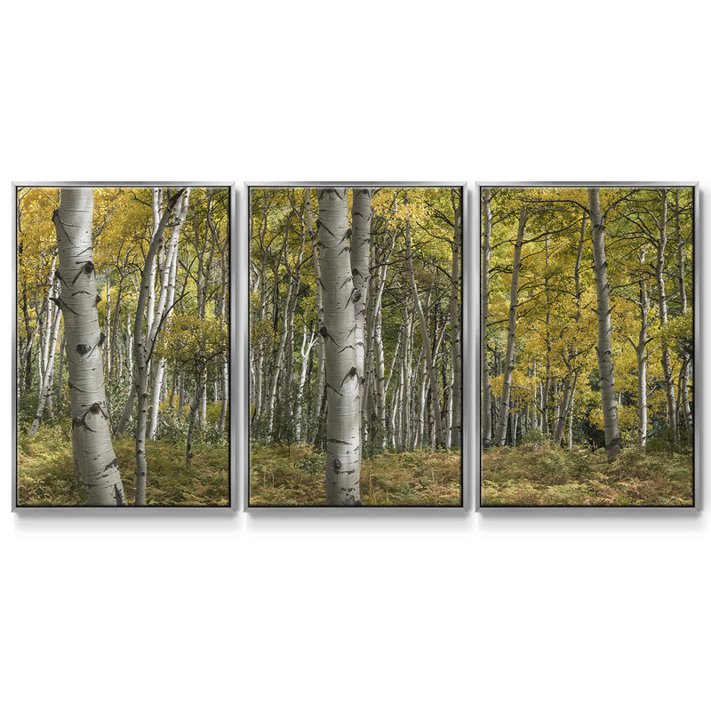 Aspen Grove II, reproduction sur toile 3 pièces, Argent, H 40 po x l 78 po x P 2 po