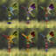 Libellule de jardin Longwell