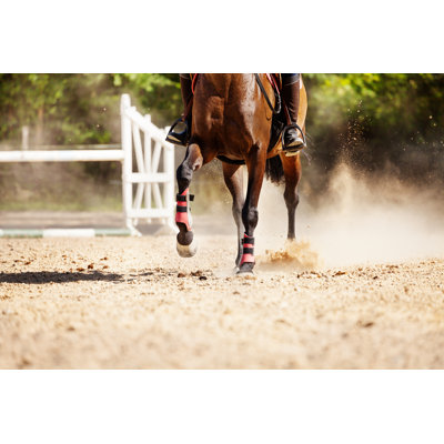 " Racehorse Running " by Serrnovik