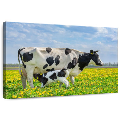 Brampt Spotted Cattle