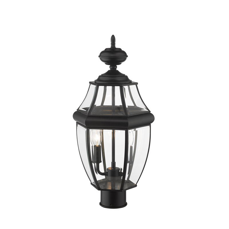 Allianora Lantern Head