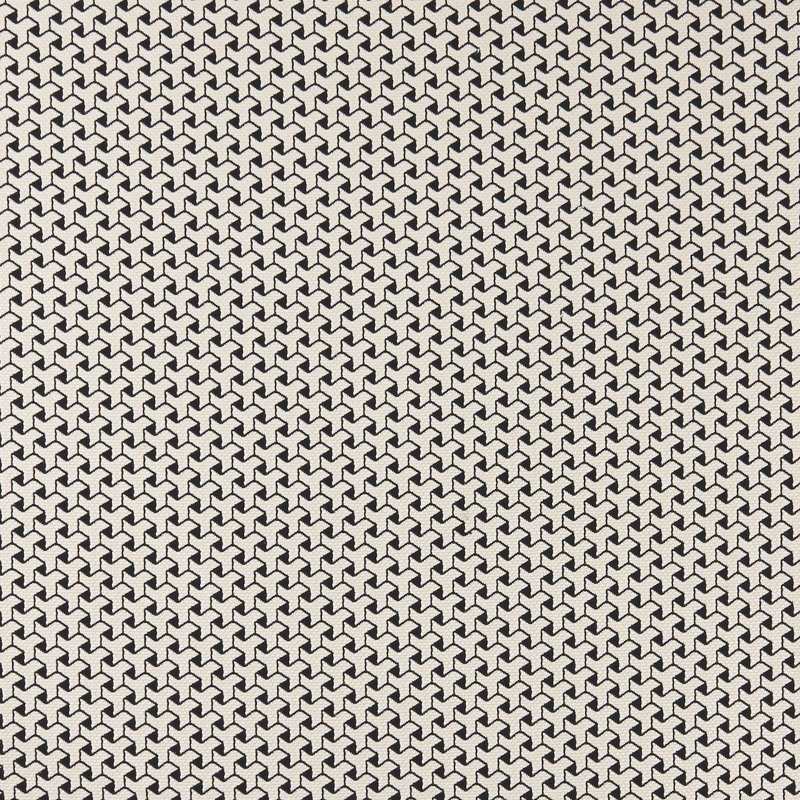 Bw1034 - Black/White Fabric