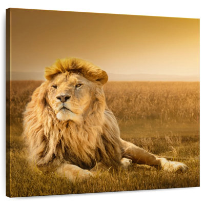 Crowle Glorious Lion en safari