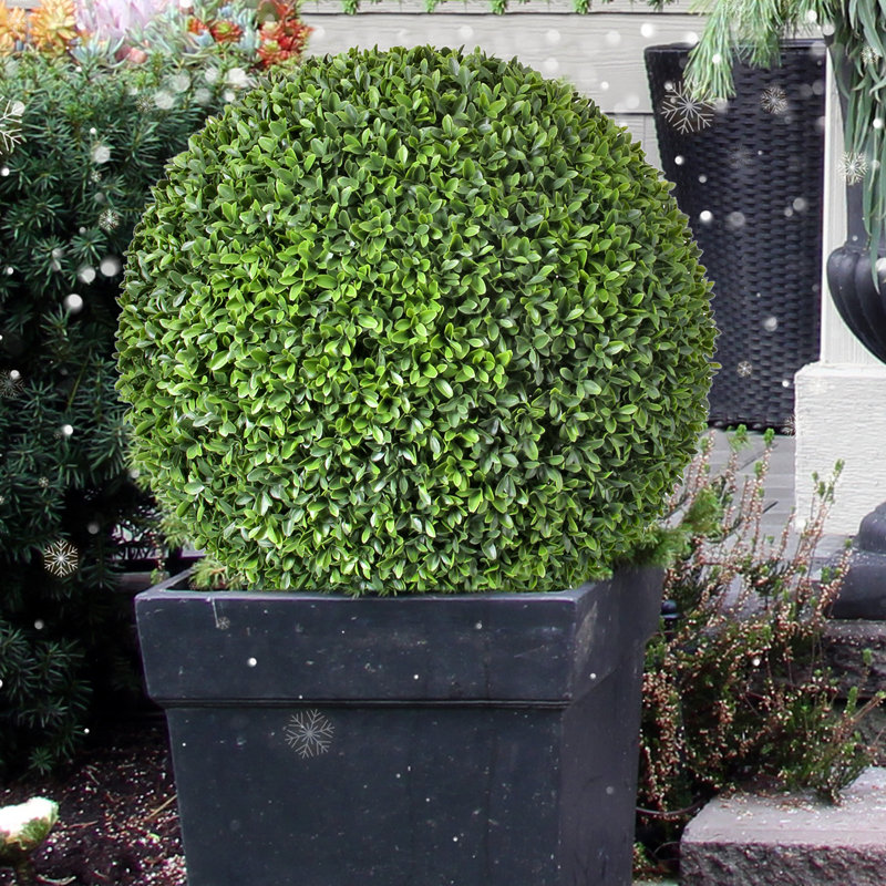 Orbe de buis artificiel 20 po, H 20 po x l 20 po x P 20 po