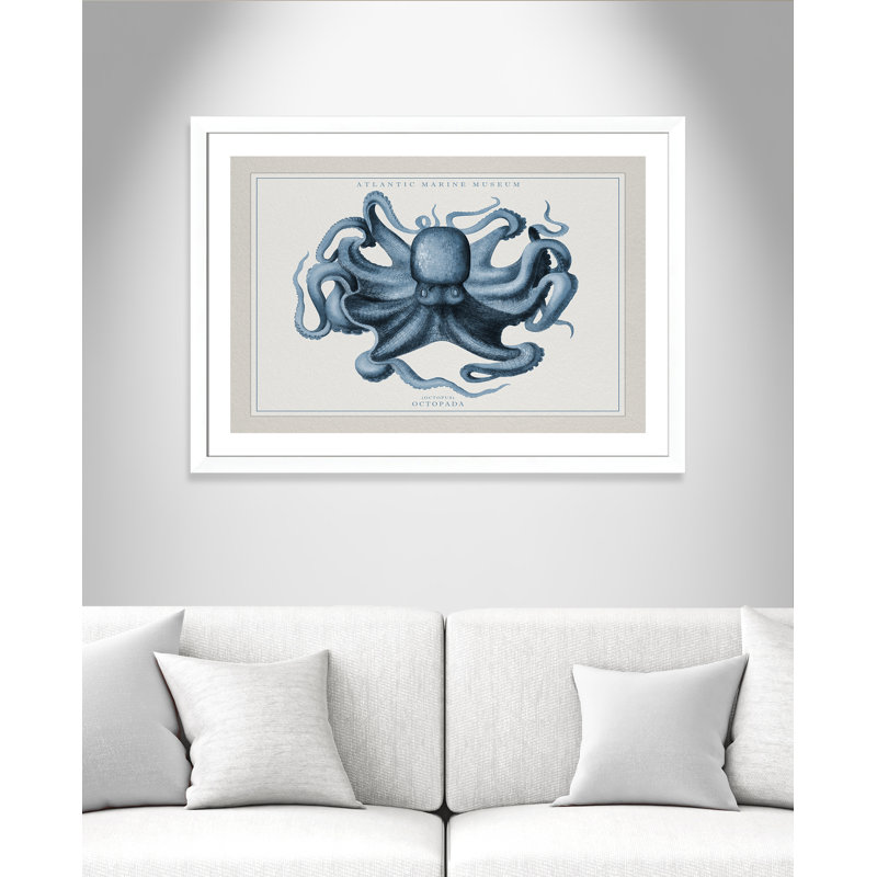 «Atlantic Marine Museum Octopus II», cadre photo, Papier encadré blanc mat, H 31 po x l 43 po x P 1,25 po