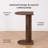 Bobby Solid Wood C Shaped End Table-895541862