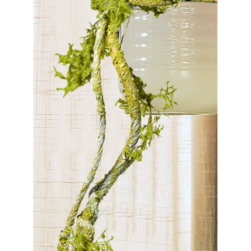 Primrue 30.5In Mossy Vine Branch, Pack Of 6