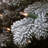 9ft. Snowy Sheffield Spruce Garland with Clear Lights