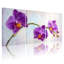 Ensemble de 3 tableaux muraux sur toile à motif floral d'orchidées violettes-2146258950