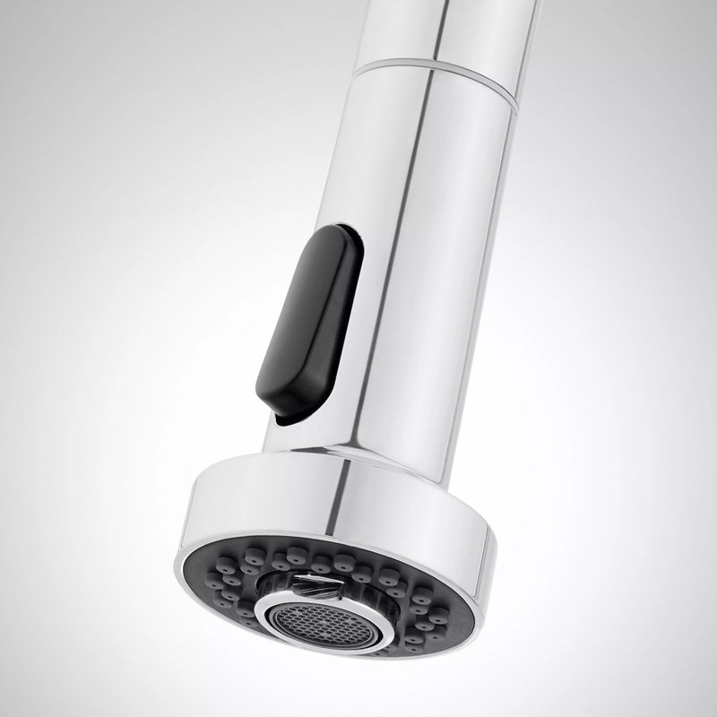 Ridgeway Pull-Down Kitchen Faucet - Chrome, Chrome