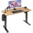Gilman Home Office Height Adjustable Standing Desk-33595932-13523091