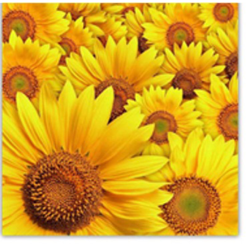 Paper Floral Napkin