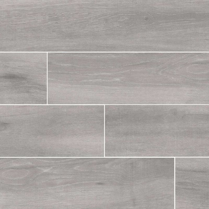Belgrad 6x36 Porcelain Wall and Floor Tile, Gray