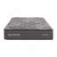 COUSSINET EN MOUSSE EN MOUSSE 12 po-1750280678