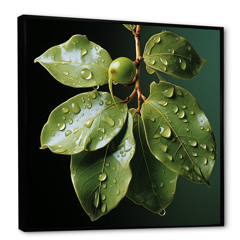 «Light Green Leaves», reproduction sur toile, H 36 po x l 36 po x P 1,5 po, Cadre flottant noir