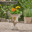 Jardinière d'extérieur-1071686833