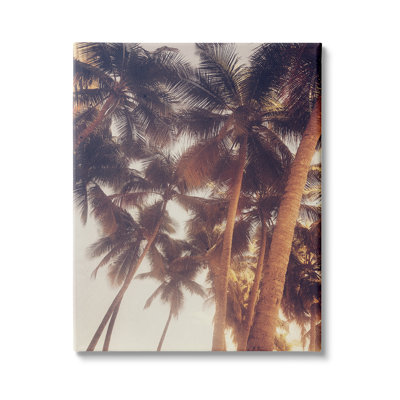 " Sun Bleached Palm Tree Tops Vintage Summer Sky " by Acosta