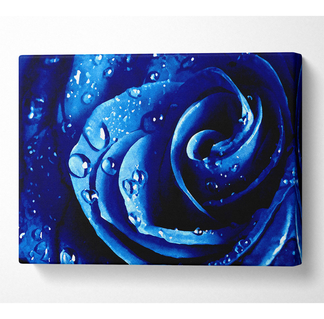 Wet Drops Blue Rose - Leinwanddrucke auf Leinwand