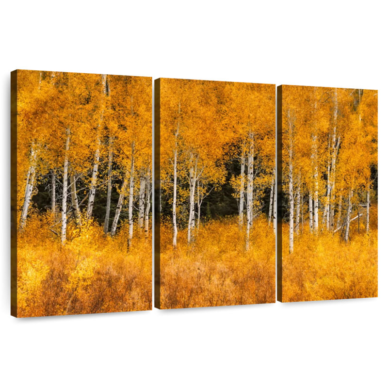 Harnek Grand Teton Aspen Trees, 48" H x 74" W