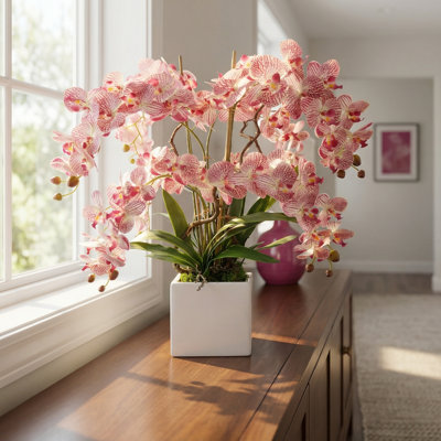Orchidées roses disposées dans un pot de fleurs carré en fibre de pierre