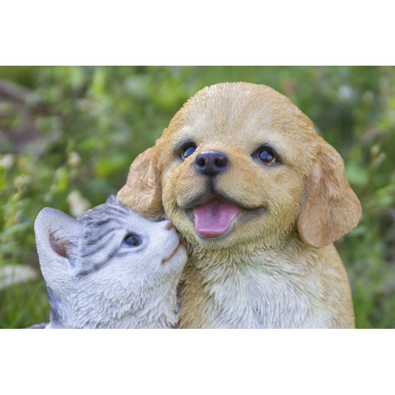 Golden Retriever et chaton