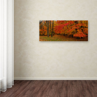 « ohio », photographie sur toile tendue Halke