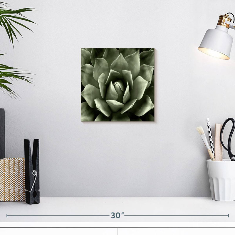 Harnek Green Succulent II