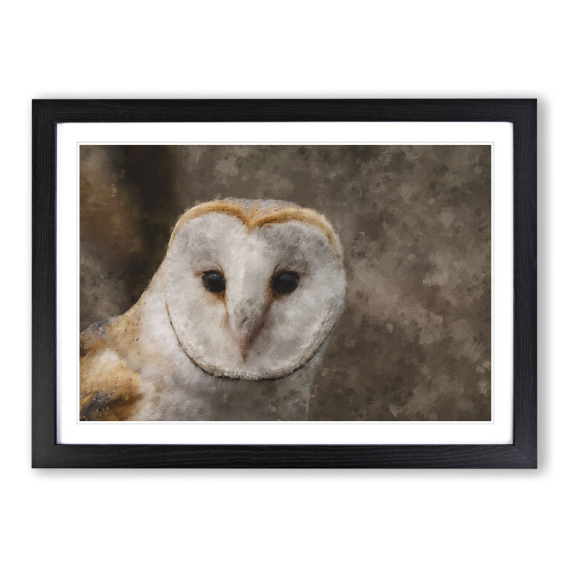 Barn Owl Vol.1 - Framed Print, 48cm H x 65cm W x 2cm D, Black Framed