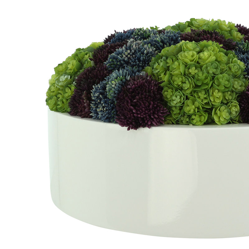 Sedum and Chick Succulent Arrangement