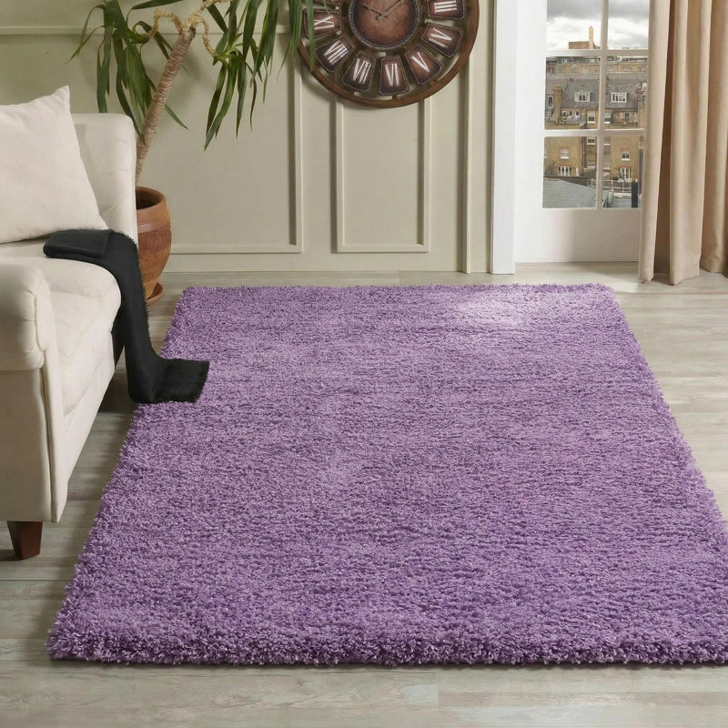Esterly Solid Colour Shag Area Rug, Rectangle 120 x 170cm