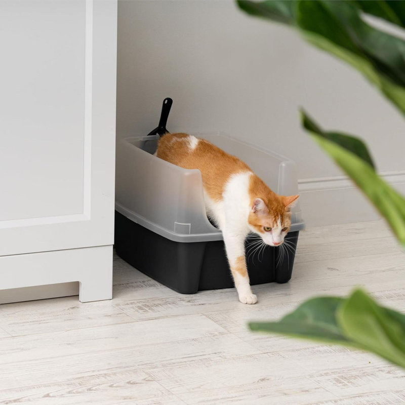 Bac à litière pour chat USA