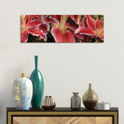Close-Up Of Stargazer Lily Flowers - Wrapped Canvas Panoramic Print