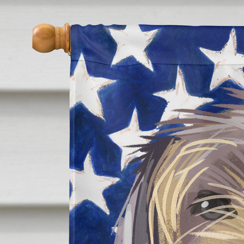 Double Sided 40'' H x 28'' W Polyester Independence Day House Flag, Slovak Rough-Haired Pointer
