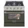 Pro-Style 30 in. 4.2 cu. ft. 4-Burner Freestanding Gas Range with Convection Oven