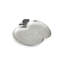 Apple Plate-69153842