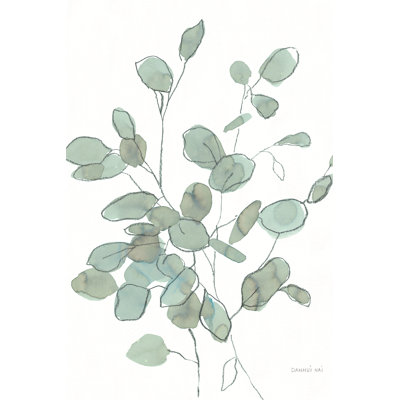 Photographie de feuilles transparentes d'eucalyptus par Danhui Nai