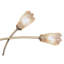 Kittinger 4 - Light Geometric Chandelier-32468428