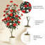Arrangement