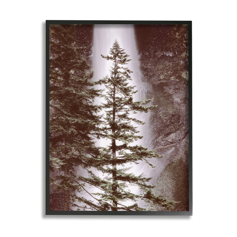 Art mural sur toile Stupell Industries Waterfall par Dennis Frates, Giclée encadrée noir minuit, H 14 po x l 11 po x P 1,5 po