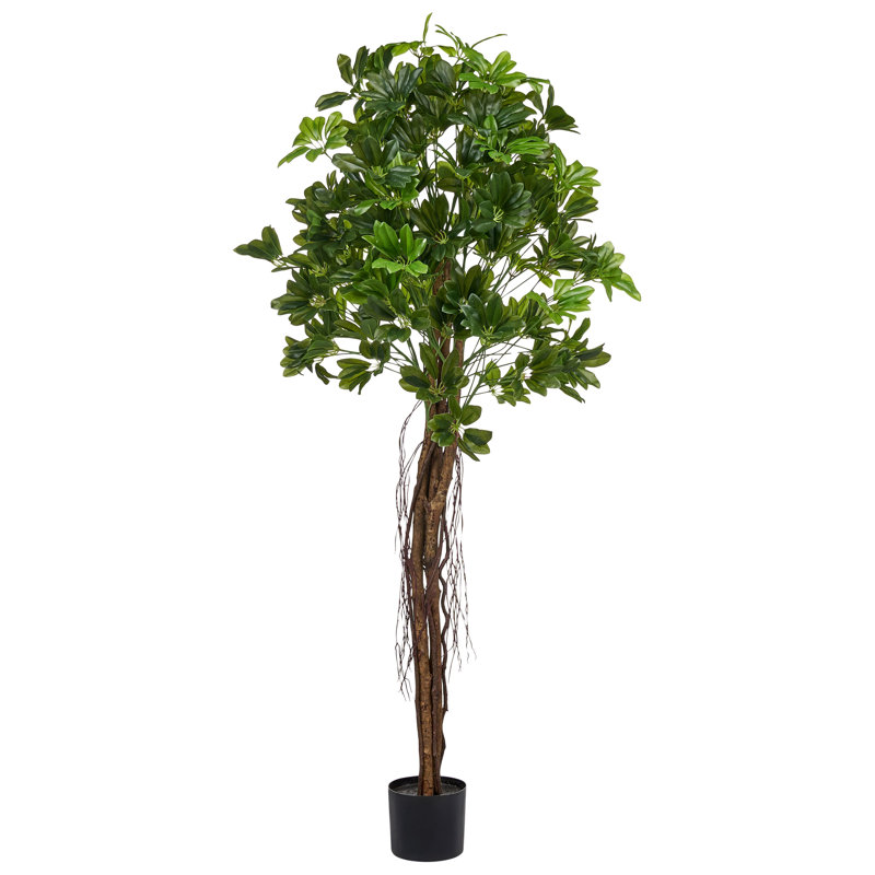 Artificial Plant UMBRELLA TREE 175 cm Green