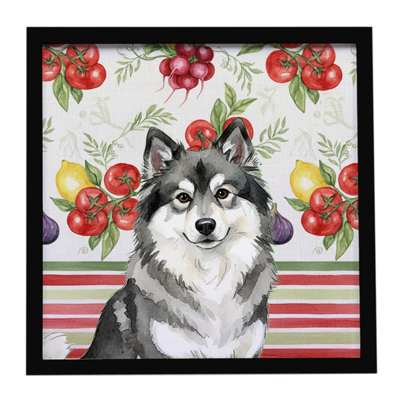 Légumes Keeshond, impression sur métal encadrée