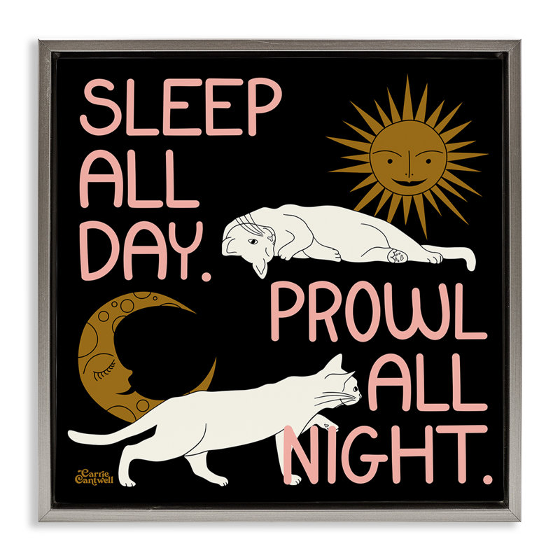 «Sleep & Prowl Cats Grey», toile encadrée flottante par Carrie Cantwell, Cadre flottant gris lustré, H 25 po x l 25 po