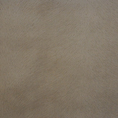 Taupe Fabric