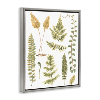 Varied Fern Leaves Framed Floater Canvas Wall Art by June Erica Vess