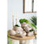 Boîte à fleurs texturée beige 8,5 po x 5,5 po x 6,3 po avec coquille de sable, convient à la plantation de tulipes avec apparence