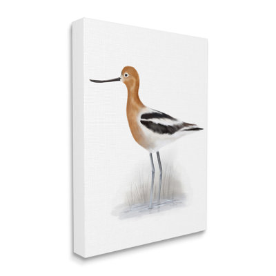 Avocat orange, marais des oiseaux des marais, rayures noires - peinture