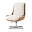 Hashmeet Task Chair